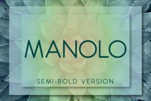 Manolo Semi-Bold Review: A Bold Choice for Designers