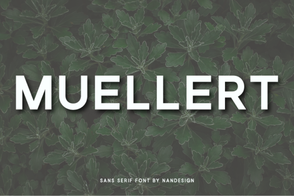 Muellert: A Bold Font for Digital Campaigns