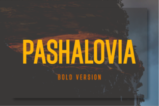 Pashalovia Bold: A Font for Clear Campaigns