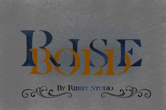 Rise Bold: A Serif Font for Web Design