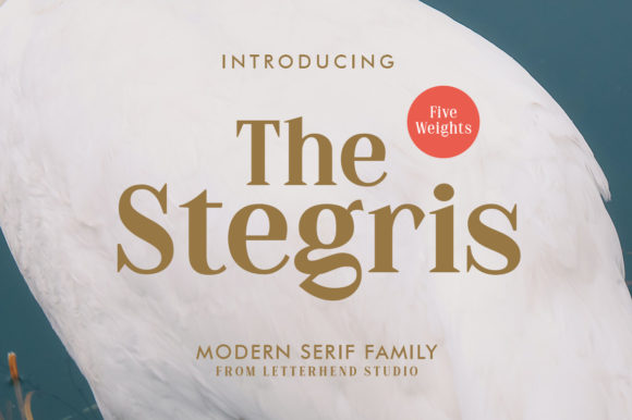 The Stegris: A Font That Elevates Your Brand