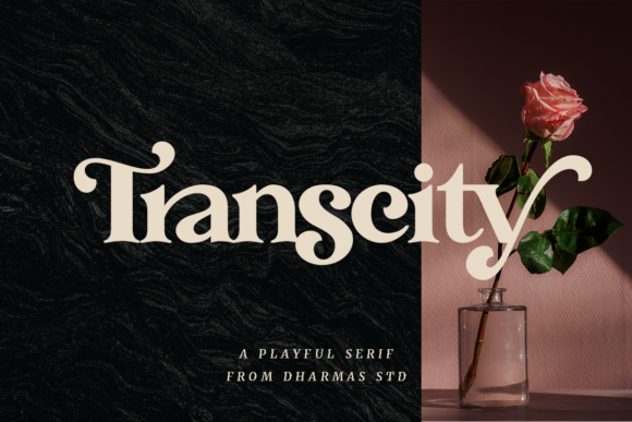 Transcity: A Bold Serif for Modern Design