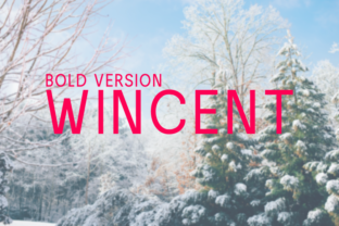 Wincent Bold: A Font for Elegant Design