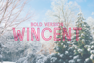 Wincent Outline Bold: A Modern Sans Serif